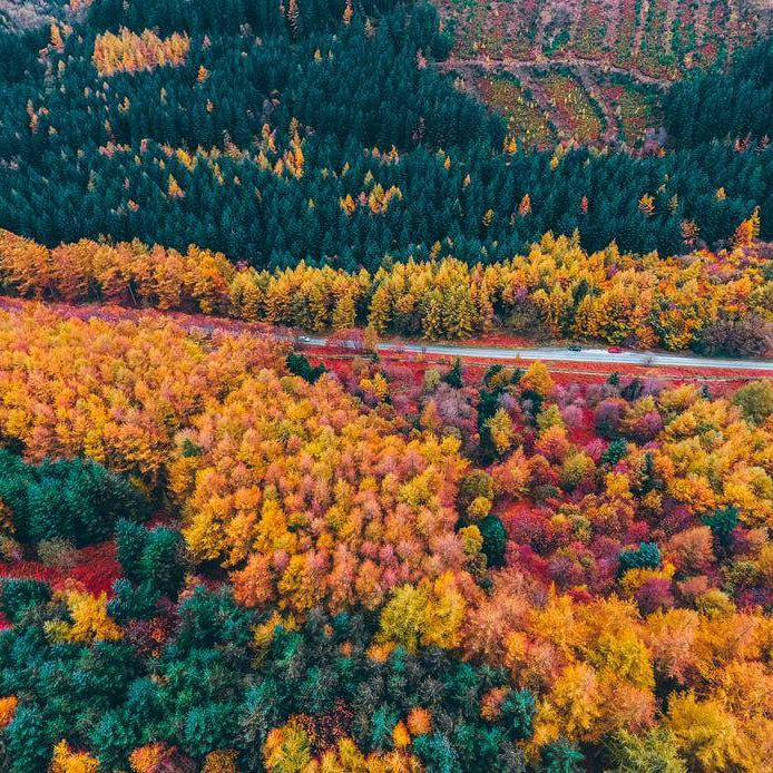 Stunning aerial view of vibrant fall foliage, showcasing the best fall vacation destinations