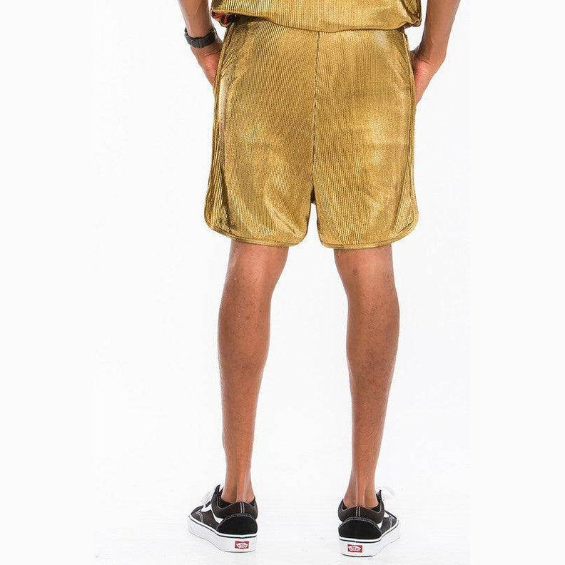 Metallic Flick Shorts - VacationGrabs