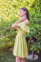 A Line Ruffle Dress - VacationGrabs