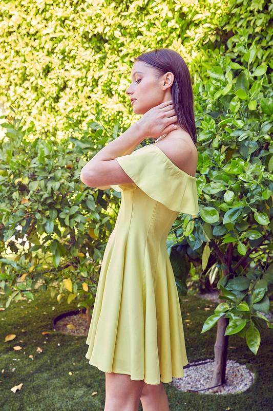A Line Ruffle Dress - VacationGrabs