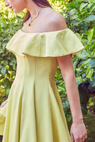 A Line Ruffle Dress - VacationGrabs