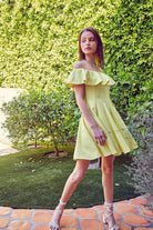 A Line Ruffle Dress - VacationGrabs
