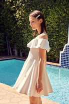 A Line Ruffle Dress - VacationGrabs