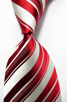 Colorful Striped Silk Neckties 100% Silk Mens Neck Tie - VacationGrabs