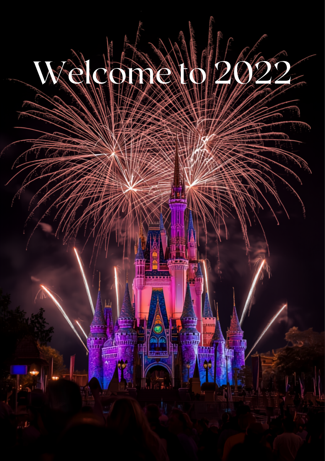 Colorful fireworks over Orlando theme park at night