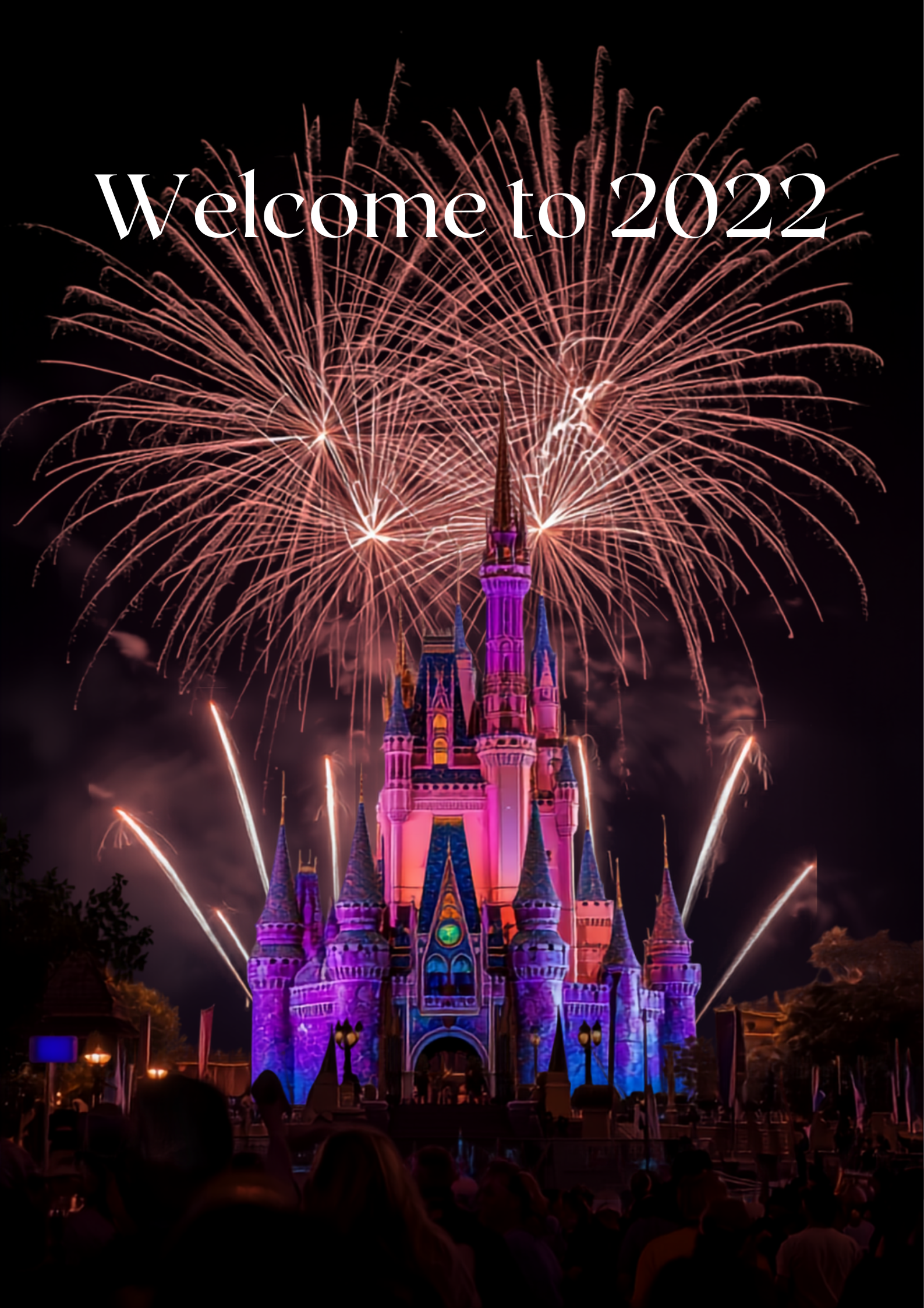 Colorful fireworks over Orlando theme park at night