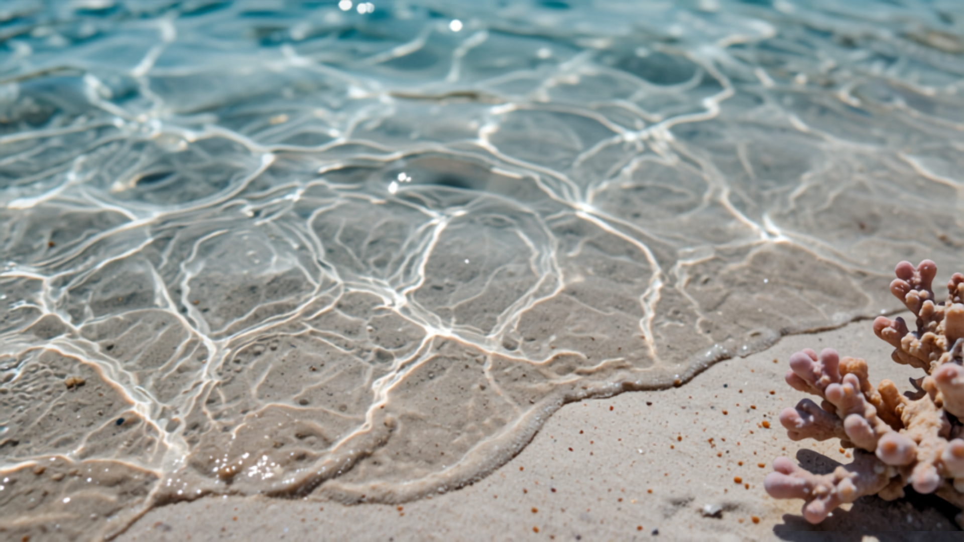Western Caribbean Cruise Guide: Best Ports and Shore Excursions