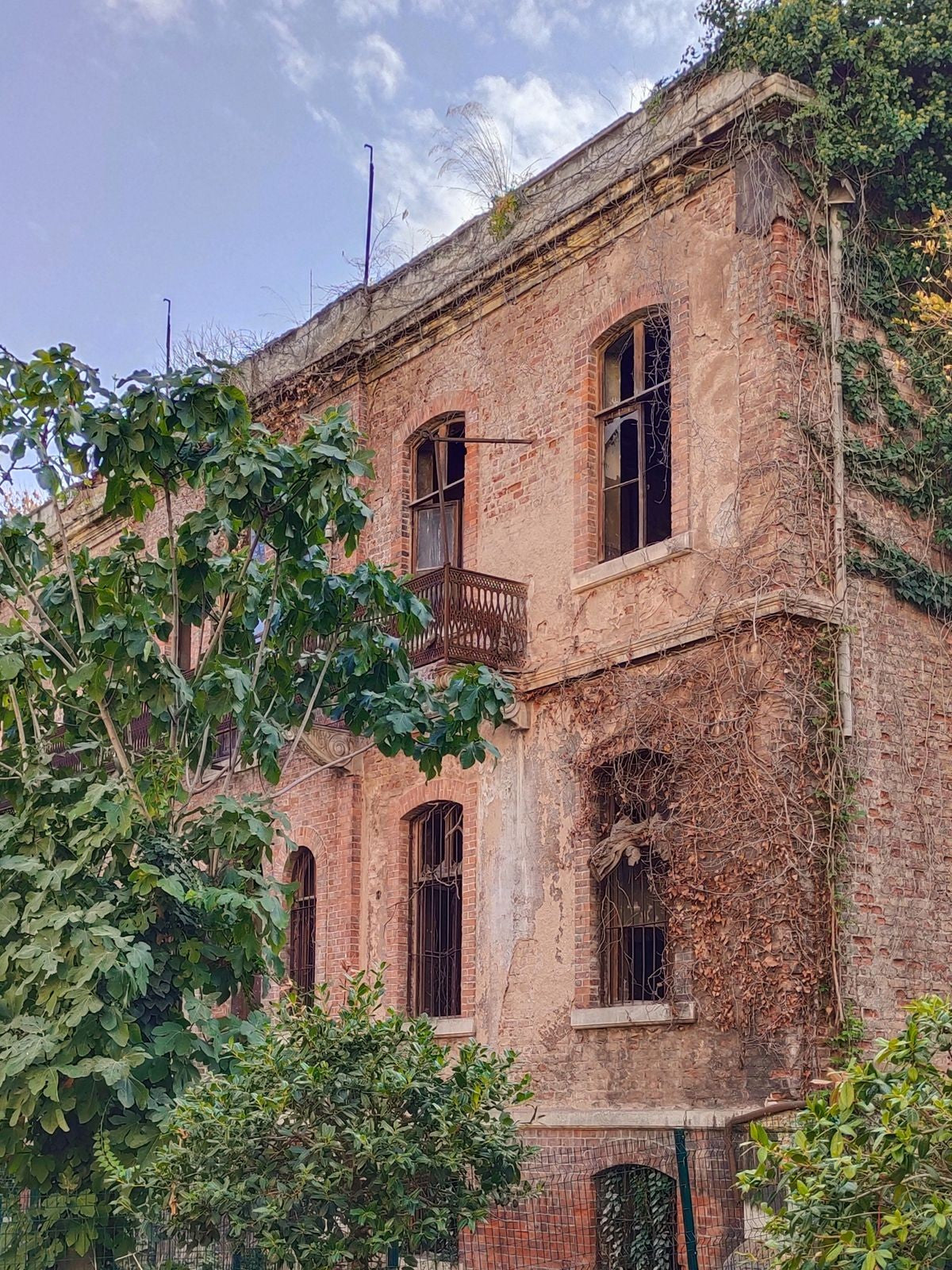 Abandoned brick building covered in ivy with broken windows