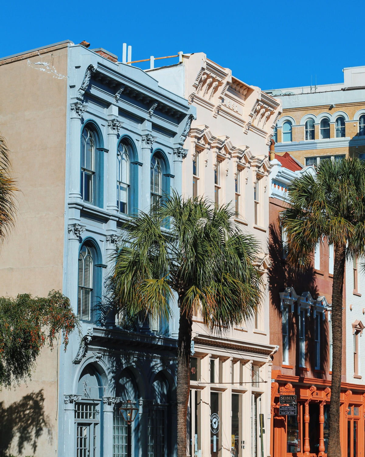 Colorful historic row houses with palm trees in downtown Charleston, South Carolina