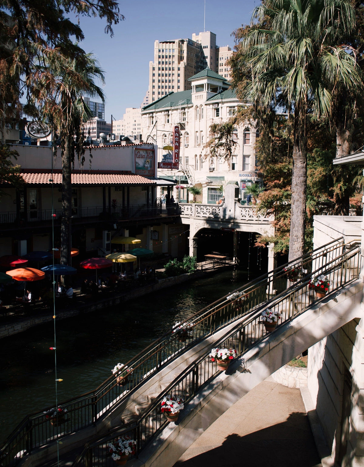 The San Antonio River Walk with palm trees, bridges, and riverside restaurants
