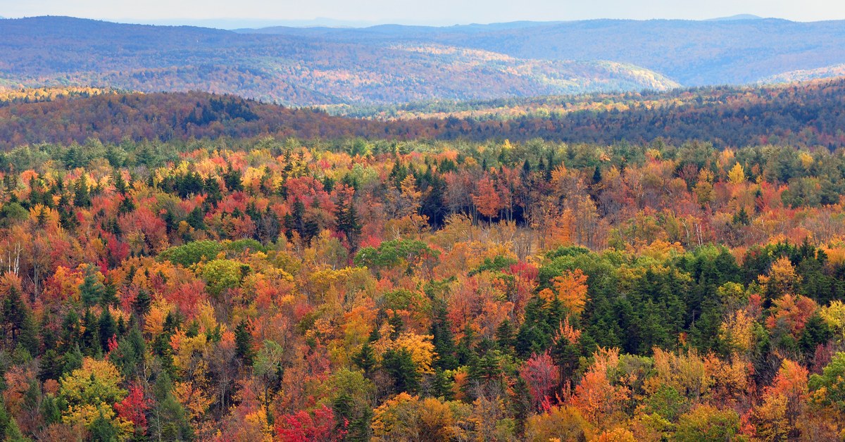 Vermont fall foliage