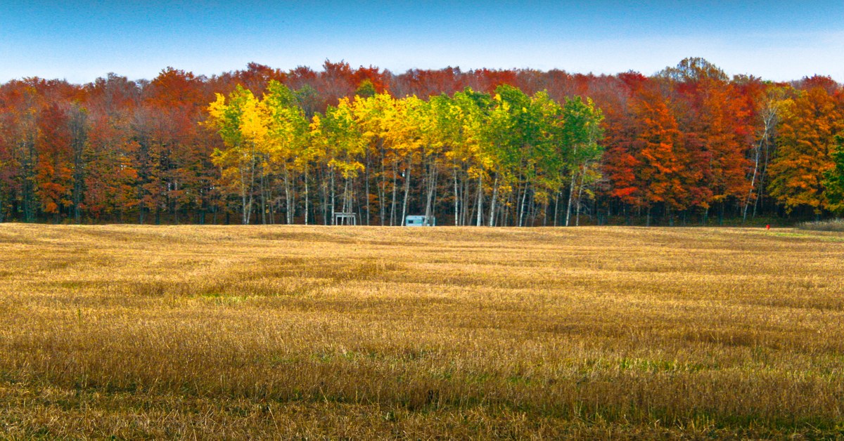 Door County fall