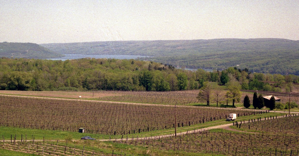 Finger Lakes vineyard