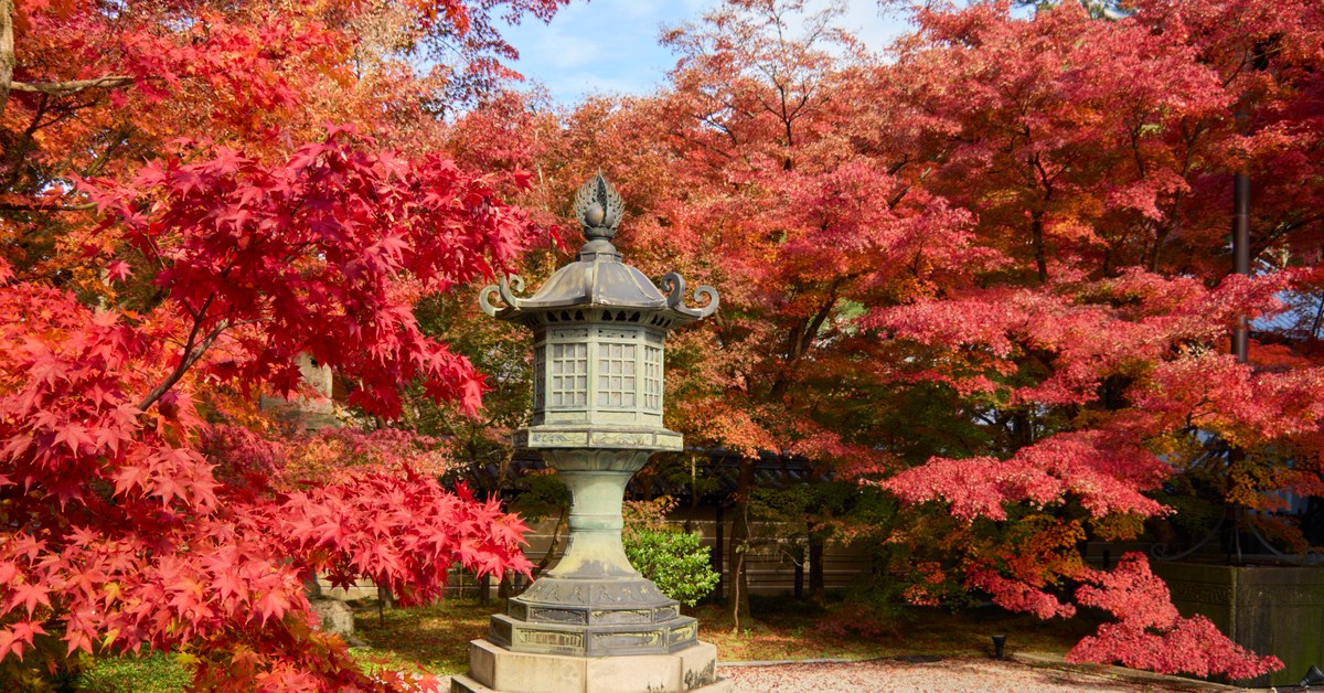 Kyoto Eikando temple autumn
