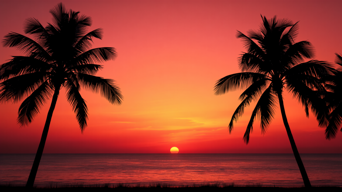A vivid sunset over the ocean with silhouetted palm trees in Key West
