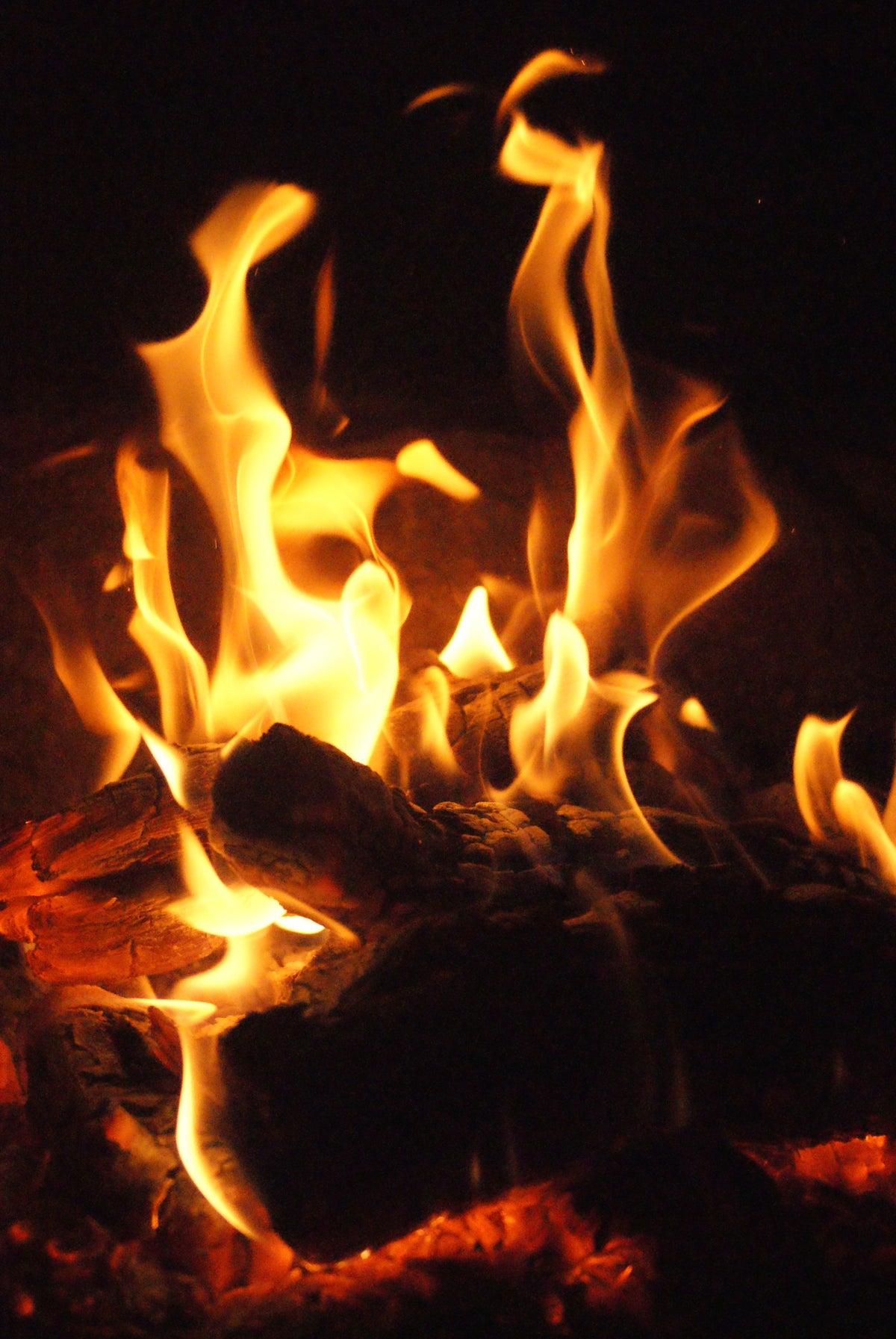 Close-up of a glowing bonfire at night