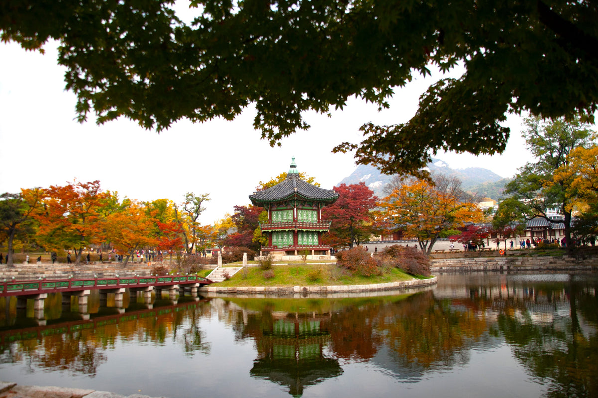 Gyeongbokgung Palace in Seoul with autumn foliage