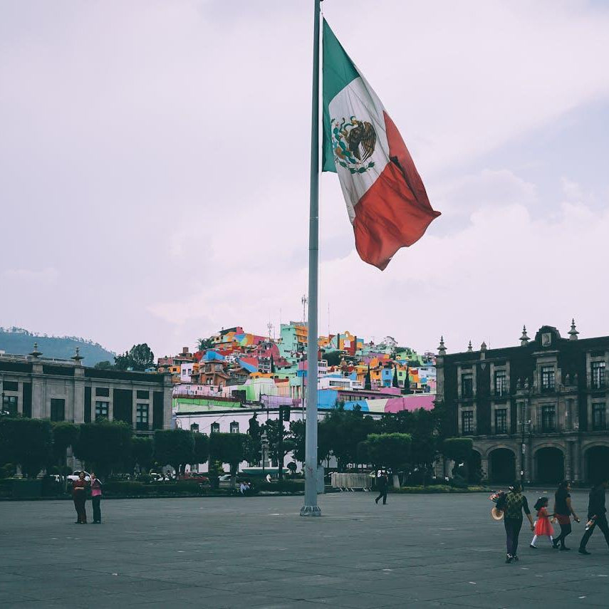 The Top 4 Things to Do in Mexico City in 2024 VacationGrabs