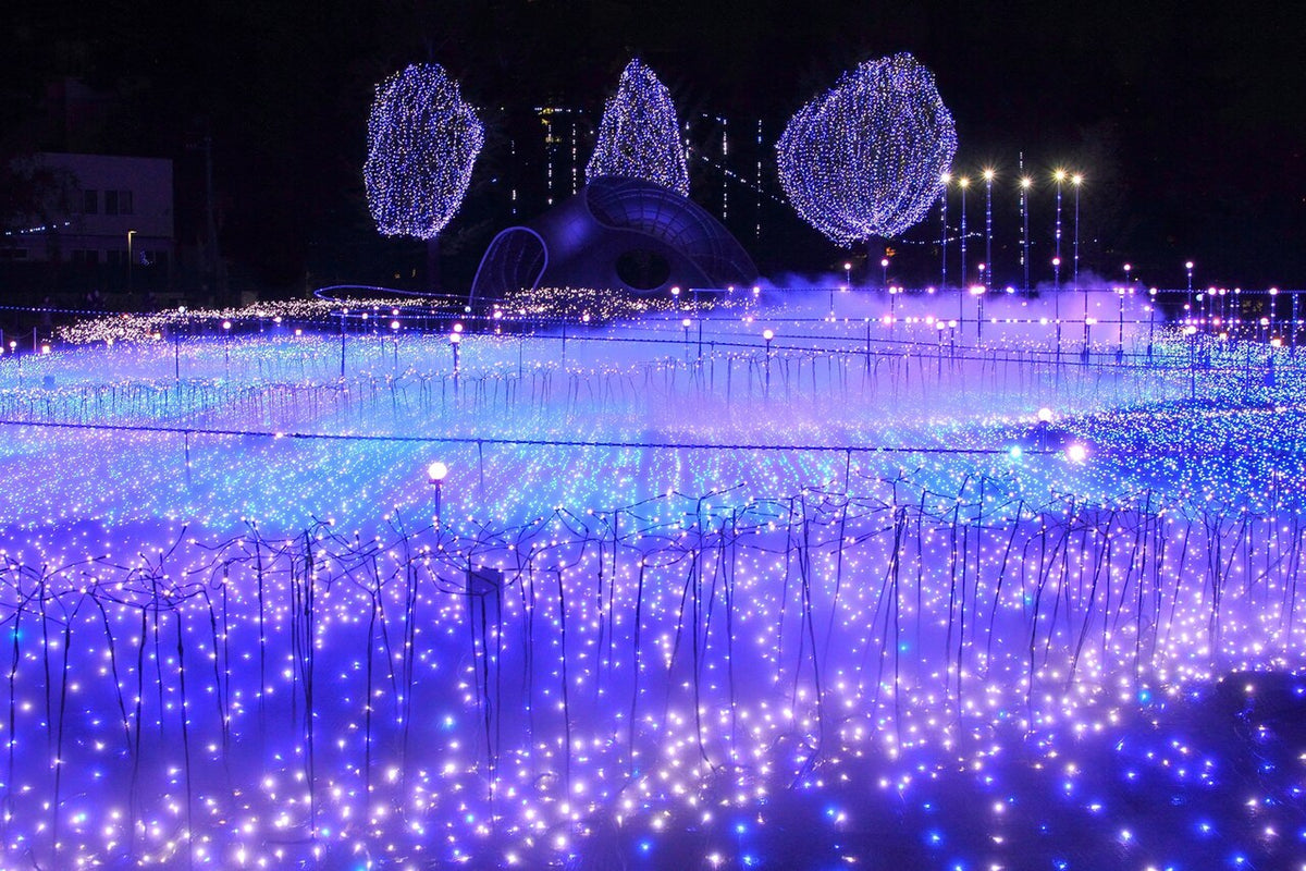 Blue and white LED winter illumination display at Tokyo Midtown's Starlight Garden, Tokyo, Japan