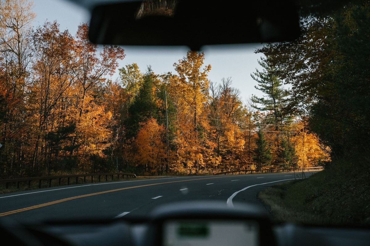 View through a car windshield of a winding road through vibrant autumn forest foliage.