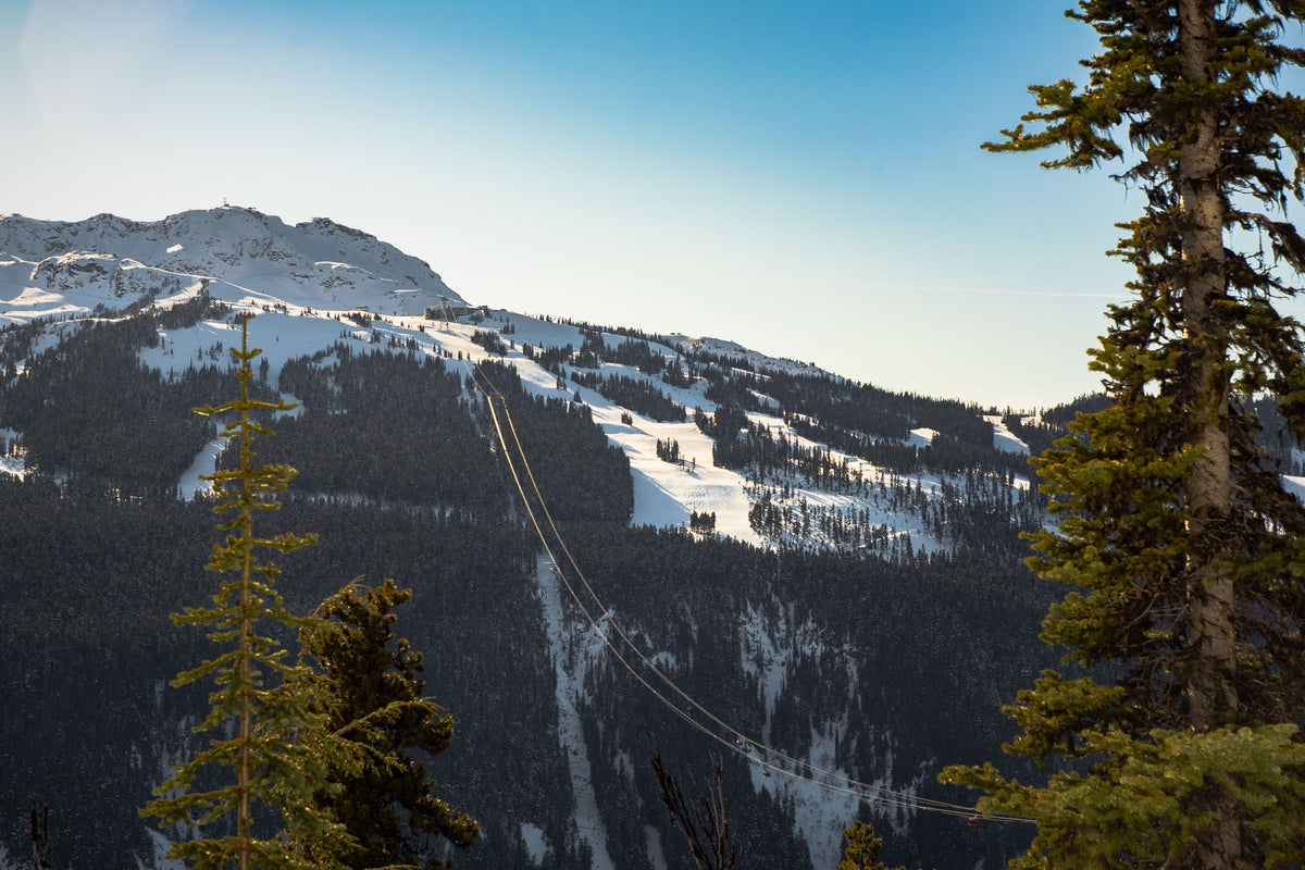 Whistler mountain with snowcapped peaks and cable cars over the forest