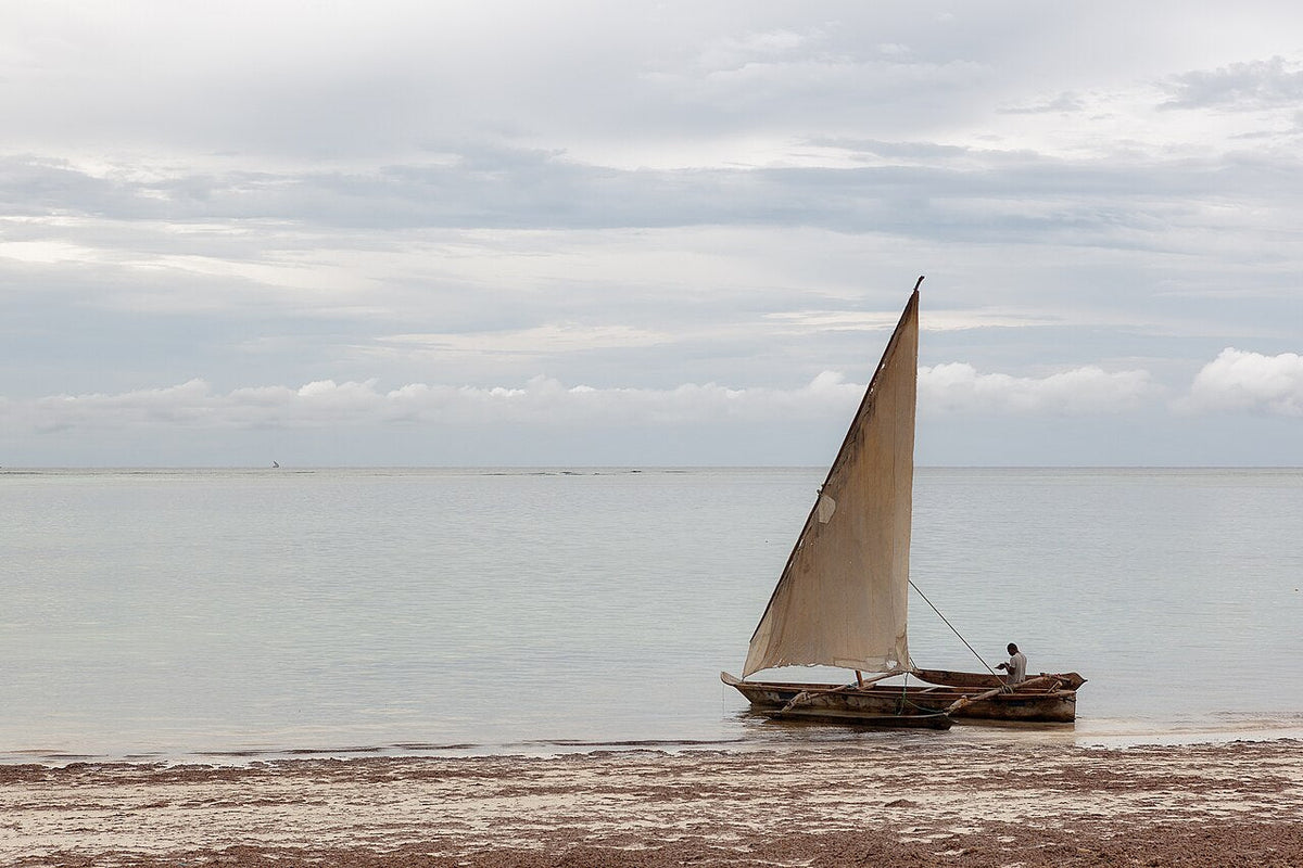 Traditional wooden dhow sailboat on a quiet beach in Zanzibar, Tanzania