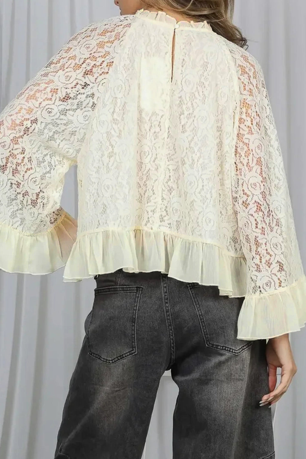 Sheer Lace Ruffle Trim Long Sleeve Blouse