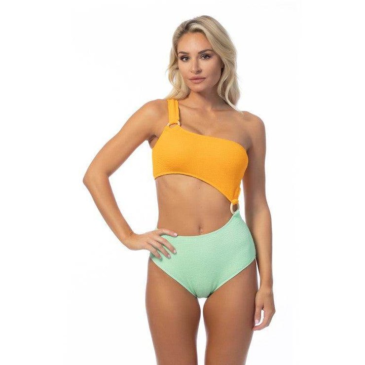 Two Tone One Piece Bathing Suit - VacationGrabs