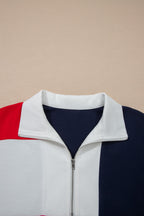 Americana Colorblock Stripe Zip Collar Mini Dress