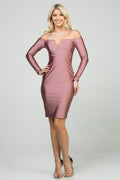 Off-the-shoulder v neck long sleeve Shiny Tricot bodycon dress.