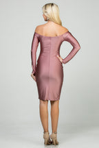 Off-the-shoulder v neck long sleeve Shiny Tricot bodycon dress.