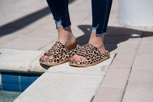 Women's Shoes - Sandals Women's Shoes Brown Leopard Insanely Comfy Slides