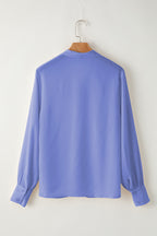 Solid Pleated V-Neck Long Sleeve Blouse