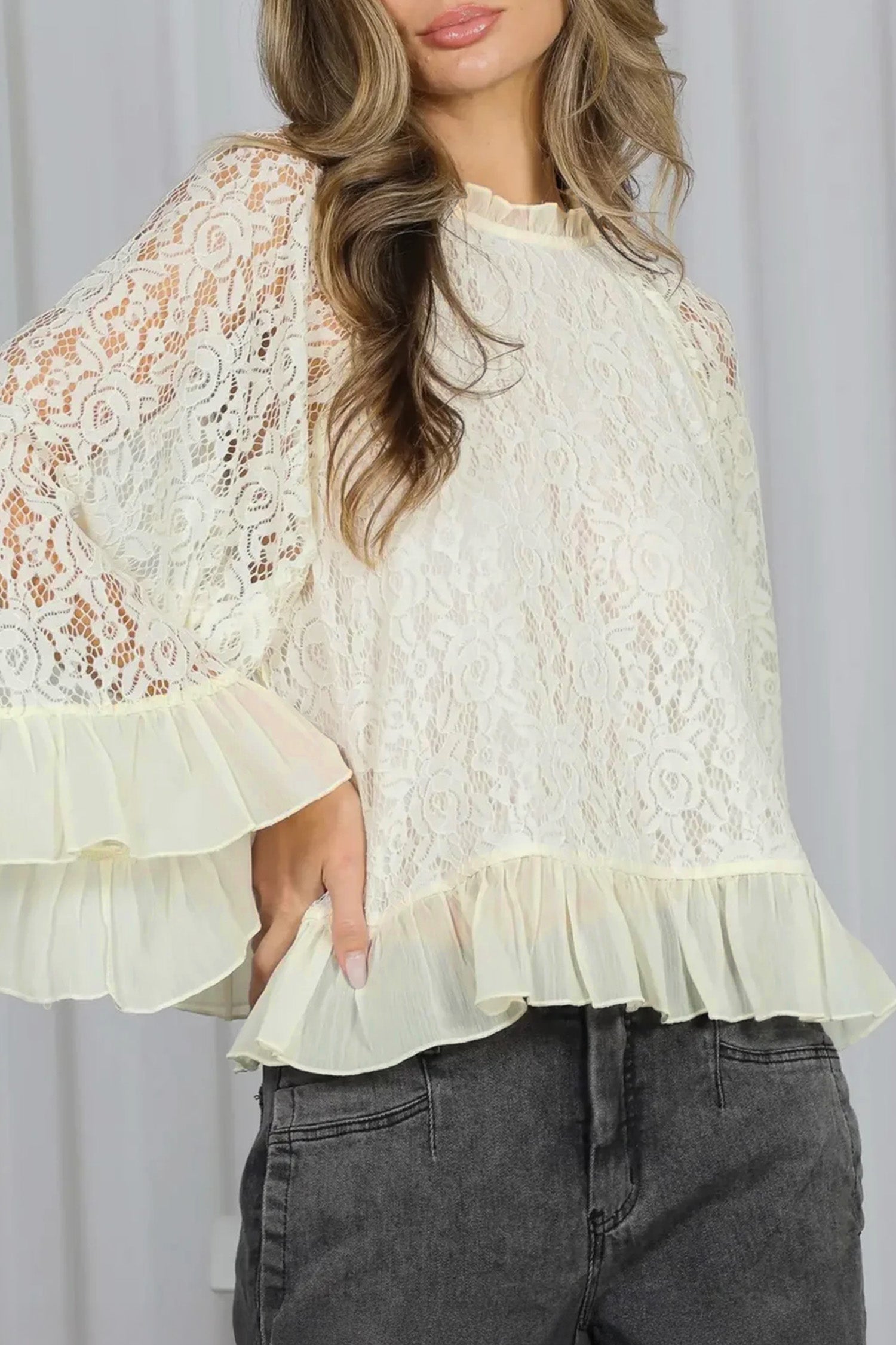 Sheer Lace Ruffle Trim Long Sleeve Blouse