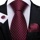 Striking Silk Tie Sets for Men - VacationGrabs