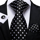 Striking Silk Tie Sets for Men - VacationGrabs