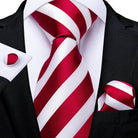 Striking Silk Tie Sets for Men - VacationGrabs