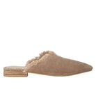 Beige slipper with fur trim on a white background