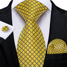 Striking Silk Tie Sets for Men - VacationGrabs