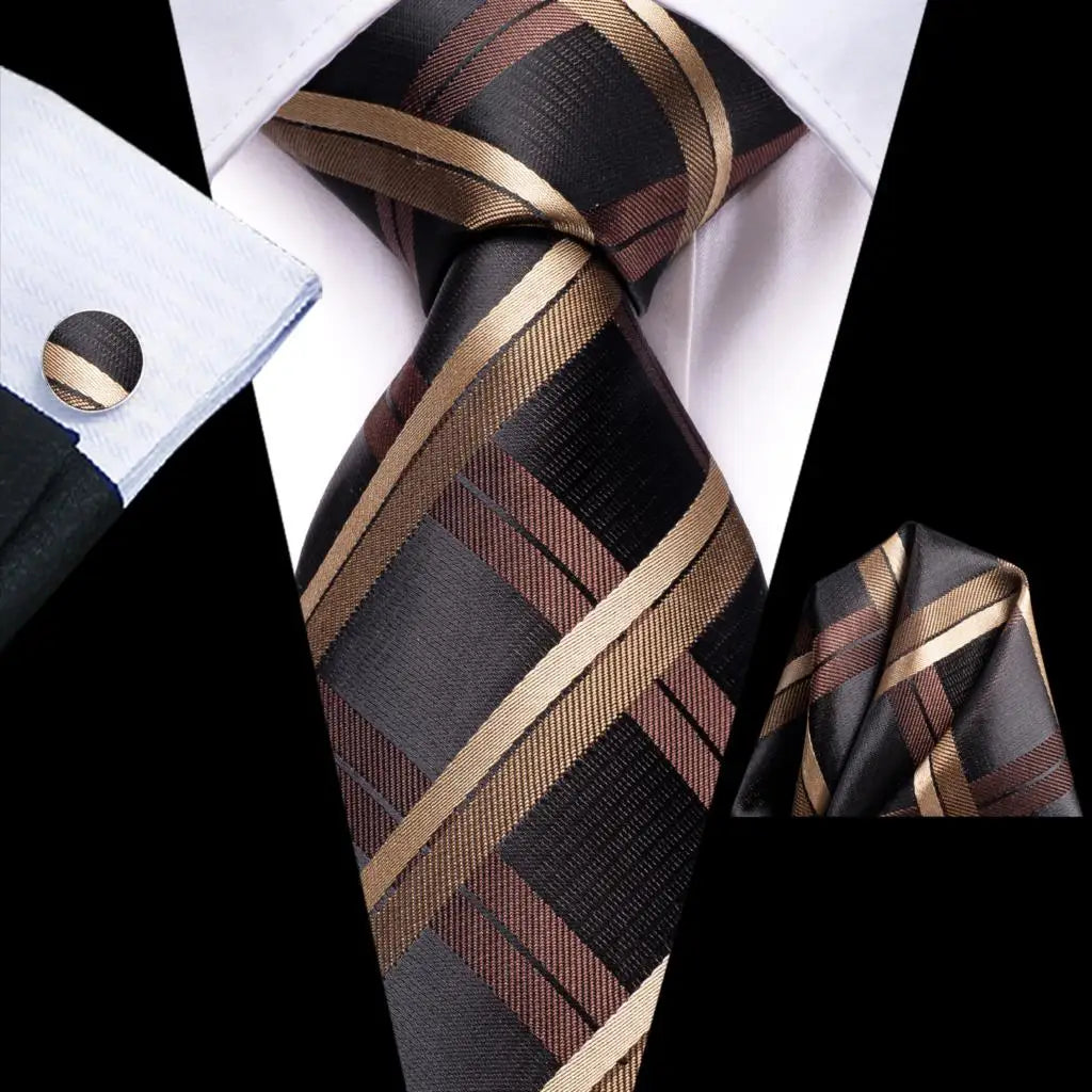Professional Ties in Multiple Shades for Men