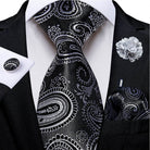 Silk Tie Sets for Men - Daring Patterns - VacationGrabs