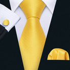 Gold & Beige Silk Tie Set for Men - VacationGrabs