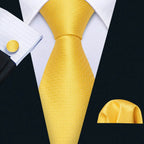 Gold & Beige Silk Tie Set for Men - VacationGrabs