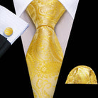 Gold & Beige Silk Tie Set for Men - VacationGrabs