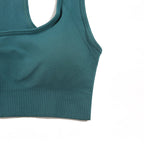 Seamless Women's Yoga Set - 2 Pcs Fitness Wear