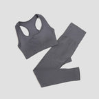 Seamless Women's Yoga Set - 2 Pcs Fitness Wear