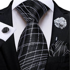 Silk Tie Sets for Men - Daring Patterns - VacationGrabs