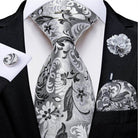 Silk Tie Sets for Men - Daring Patterns - VacationGrabs