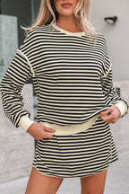 Stripe Textured Pullover Top and Mini Skirt Set
