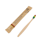VacationGrabs biodegradable bamboo toothbrush with a colorful bristle design in eco-friendly packaging